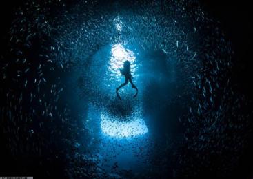 赛事直播内容创新